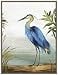 Amanti Art Framed Canvas Wall Art 24x18 Blue Heron by Aimee Wilson Framed Wall Art Canvas Animals Artwork Rustic Farmhouse Decor Medium Poster Painting for Living Room Bedroom Bathroom Kitchen