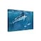 Trademark Fine Wrapped Canvas Wall Art The Macneil Studio 0650 Marlin Wall Art for Living Room Bedroom or Office Dcor 22x32