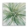 WEXFORD HOME Wexford Home Macro Sage Flower II Gallery Wrapped Canvas Wall Art 40x40