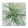 WEXFORD HOME Wexford Home Macro Sage Flower II Gallery Wrapped Canvas Wall Art 40x40