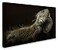 Trademark Fine Art Iguana Profile Wall Dcor 30 x 47