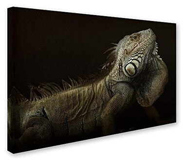 Trademark Fine Art Iguana Profile Wall Dcor 30 x 47