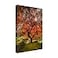 Trademark Fine Wrapped Canvas Wall Art Moises Levy The Tree Vertical Wall Art for Living Room Bedroom or Office Dcor 12x19