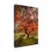 Trademark Fine Wrapped Canvas Wall Art Moises Levy The Tree Vertical Wall Art for Living Room Bedroom or Office Dcor 12x19