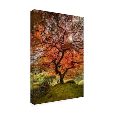 Trademark Fine Wrapped Canvas Wall Art Moises Levy The Tree Vertical Wall Art for Living Room Bedroom or Office Dcor 12x19