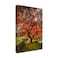 Trademark Fine Wrapped Canvas Wall Art Moises Levy The Tree Vertical Wall Art for Living Room Bedroom or Office Dcor 12x19