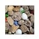 Trademark Fine Art Petoskey Stones V by Michelle Calkins Wall Decor 14 by 14Inch