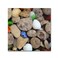 Trademark Fine Art Petoskey Stones V by Michelle Calkins Wall Decor 14 by 14Inch