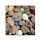 Trademark Fine Art Petoskey Stones V by Michelle Calkins Wall Decor 14 by 14Inch