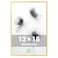 FrameWorks 12x18 Brushed Aluminum Poster Frames Modern Brushed Metal Design wShatterproof Plexiglass Perfect for Posters Artwork Paintings Wall Displays Home or Office Decor Gold 1 Pack