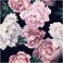 Blooming Wall DPYB32 Pink White Peony Peel and Stick Wallpaper Removable Self Adhesive Wall Mural Wall Dcor