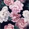 Blooming Wall DPYB32 Pink White Peony Peel and Stick Wallpaper Removable Self Adhesive Wall Mural Wall Dcor