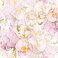 AROMMO Pink Peony Blossom Large Floral Peel and Stick Wallpaper 177x118