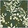 HAOKHOME Peel and Stick Wallpaper Boho Sage Green Eucalyptus Leaf Floral Wall Mural Home Nursery Decor Renter Friendly Wallpaper 173in x 98ft