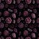 Akodm Dark Floral Peony Wallpaper Peel and Stick Removable RenterFriendly Gothic Vintage Thick Vinyl Wall Covering Waterproof 177in 708in