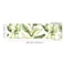 HOMETITUTE Wallpaper Border Peel and Stick Botanical Wall Trim 4x196 Inch Green Leaf Pattern Wallpaper Border Self Adhesive Accent Strip for Bedroom Mirror Frame Closet Living Room Wall Dcor