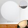 PATIKIL 11 Diameter Lampshade Diffuser 27mm Thick Round Diffuser Sheet for Drum Lampshades Pendants Light DIY Light Shield Translucent White