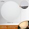 PATIKIL 12 Diameter Lampshade Diffuser 2 Pcs 17mm Thick Round Diffuser Sheet for Drum Lampshades Pendants Light DIY Light Shield Translucent White