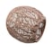 Wealrit Woven Rattan Pendant Lamp Shade Chandelier Lampshade 59 x 55 Light Fixture Shade for Home DecorationBrown