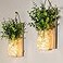 ECTY Rustic Wall Sconces Mason Jar Sconces Farmhouse Home Decor LED Fairy Lights Green Fake Plant Interior Decoration Warm Toned Lighting 2 Pack