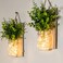 ECTY Rustic Wall Sconces Mason Jar Sconces Farmhouse Home Decor LED Fairy Lights Green Fake Plant Interior Decoration Warm Toned Lighting 2 Pack