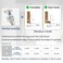 Chibery 4 Pack 14 Partial Overlay Soft Close Concealed Hinge for Face Frame Frameless Door 3D Adjustment Clipon Plate Slow Self Closing Hidden Satin Nickel 105 Stainless Steel Hinges 38