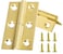 HGHN 8 Pcs Solid Brass Hinges Jewelry Box Hinges Small Hinges with Screws Suitable for Jewelry Chest Wood Box Toolbox and Cabinet 15 inch