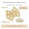 UNIQANTIQ HARDWARE Polished Brass Butterfly Hinges 2 x 1716 Pack of 2 Surface Mount Hinges for Cabinet Doors and Boxes UA262HPB 1