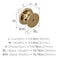 Amerock Cabinet Knob Champagne Bronze 114 inch 32 mm Diameter Drawer Knob Ravino Kitchen and Bath Hardware Furniture Hardware