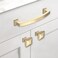 Asidrama 10 Pack 114 inch Brushed Brass Kitchen Cabinet Knobs Gold Dresser Knobs Drawer Knobs Cabinet Hardware Zinc Knobs for Dresser Drawers