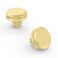 Asidrama 10 Pack Brushed Gold Kitchen Cabinet Knobs Drawer Knobs Cabinet Hardware Zinc Knobs for Dresser Drawers
