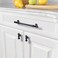 Asidrama 30 Pack Oil Rubbed Bronze Kitchen Cabinet Knobs Dresser Knobs Drawer Knobs Cabinet Hardware Zinc Knobs for Dresser Drawers