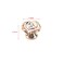 Bitray 20PCS Rose Pulls Cabinet Knobs Flower Drawer Knobs Pull Handles