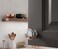 Cosmas 25 Pack 4950CH Polished Chrome Round Mushroom Cabinet Knobs 114 Diameter Chrome Kitchen Bathroom Hardware Screws Included