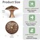 DWYL &amp; DWYL LWYD Antique Brass Cabinet Knobs 4 Pack Solid DieCast Zinc Alloy 14Dia Vintage Brass Round Cabinet Handles for Kitchen Cabinets and Drawers Dresser Knobs Drawer Pulls Vintage