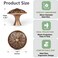 DWYL &amp; DWYL LWYD Antique Brass Cabinet Knobs 4 Pack Solid DieCast Zinc Alloy 14Dia Vintage Brass Round Cabinet Handles for Kitchen Cabinets and Drawers Dresser Knobs Drawer Pulls Vintage