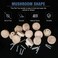 FoDau770 15pcs Unfinished Wood Knobs Flat Top Round Cabinet Knobs Vintage Drawer Pulls Natural Wooden Cabinet Hardware for Furniture Drawer Dresser Wardrobe Cupboard 112 Diameter