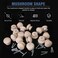 FoDau770 15pcs Unfinished Wood Knobs Mushroom Shape Cabinet Knobs Vintage Drawer Pulls Natural Wooden Cabinet Hardware for Furniture Drawer Dresser Wardrobe Cupboard 112 Diameter