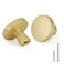 Goldenwarm 20pcs Gold Cabinet Knobs for Dresser Drawers Kitchen Hardware Handles Brushed Brass Modern Round KnobZinc Alloy