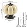 Jiozermi 6 Pack Cream Pumpkin Ceramic Kitchen Cabinet Knobs Vintage Style 15 in Diameter