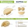 KOPPALIVE 2 Pack Solid Brass Dresser Drawer PullsSemicircle Kitchen Cabinet Knobs and Handles Gold Knobs for Cabinet and Drawer Modern Copper Furniture Handles Brushed Finish Furniture Hardware