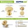 KOPPALIVE 5Pack Solid Brass Kitchen Cabinet Knobs Modern Gold Drawer Knobs for Dresser Round Step Cabinet Knobs Pulls Brushed Finish Diameter 11164 Inches