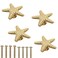 LLDYNW 4pcs Starfish Handles Right Angle Kitchen Cabinet Drawer Knobs Gold