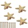 LLDYNW 4pcs Starfish Handles Right Angle Kitchen Cabinet Drawer Knobs Gold