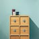 NAKUPENDA 6Pcs Ceramic Cabinet Knobs Round Furniture Knobs Ceramic Kitchen Cabinet Dresser Pulls Handles for Furniture Cupboard Closet Childrens Room Armoires Light Green