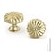 Goldenwarm 10 Pack Gold Cabinet Knobs Dresser Knob for Drawer Hardware Handles and Luxury Pulls for Cabinets Zinc Alloy