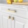 Amerdeco 10 Pack Brushed Brass Cabinet Pulls 334 Inch96mm Hole Center Gold Drawer Pulls Cabinet Hardware Kitchen Cabinet Handles for Bathroom Dresser Pulls ZH00013