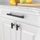 Asidrama 10 Pack 5 Inch128mm Matte Black Kitchen Cabinet Handles Cabinet Pulls Kitchen Cabinet Hardware for Cupboard Drawer Pulls