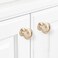 BUKOBYHE 10 Pack Kitchen Cabinet Handles Champagne Bronze Cabinet Zinc Alloy Knobs Gold Drawer Knobs Kitchen Hardware