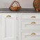 CABDM 2 Pack 212 Drawer Pulls Antique Brass Cabinet Cup Pulls Kitchen Hardware Cabinet Handles Drawer Handles Knobs 212 inch 64mm Center to Center
